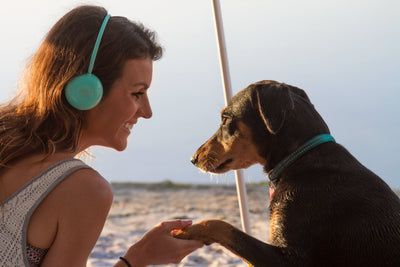 June & May Wireless Headphones - Bluetooth Over-The-Ear Headphones